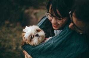 Pet Care Basics: Why A Wellness Checkup Is A Must