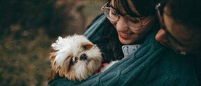 Pet Care Basics: Why A Wellness Checkup Is A Must