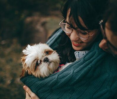 Three Ways to Achieve Optimal Pet Health