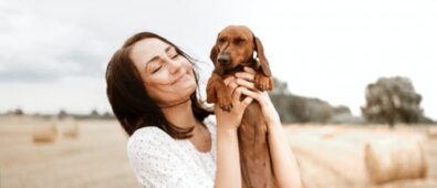 Why Should You Give Your Pet a Wellness Plan?