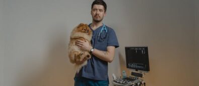 Care For Pets:  Vet Exams, Dental Work, and Surgery