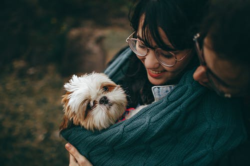 Frequent Illnesses in Senior Animals