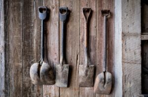 What Are the Essentials of Sustainable Gardening Practices