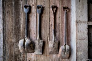What Are the Essentials of Sustainable Gardening Practices