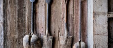 What Are the Essentials of Sustainable Gardening Practices