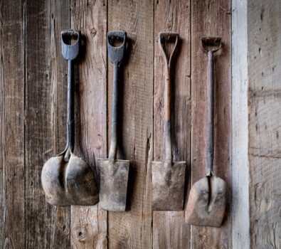 What Are the Essentials of Sustainable Gardening Practices